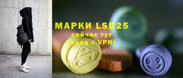 ГАЛЛЮЦИНОГЕННЫЕ ГРИБЫ Белоозёрский