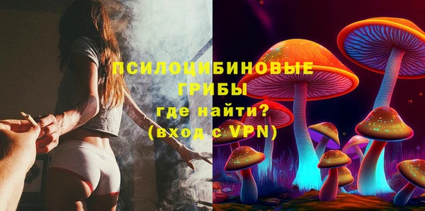 гашик Балахна