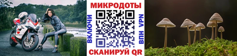 маркетплейс Telegram  Рудня  Псилоцибиновые грибы прущие грибы  даркнет сайт 
